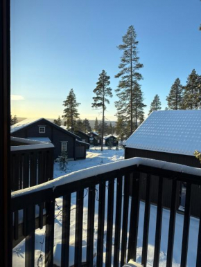 Fjällbädden Idre Ski-in Ski-out 9